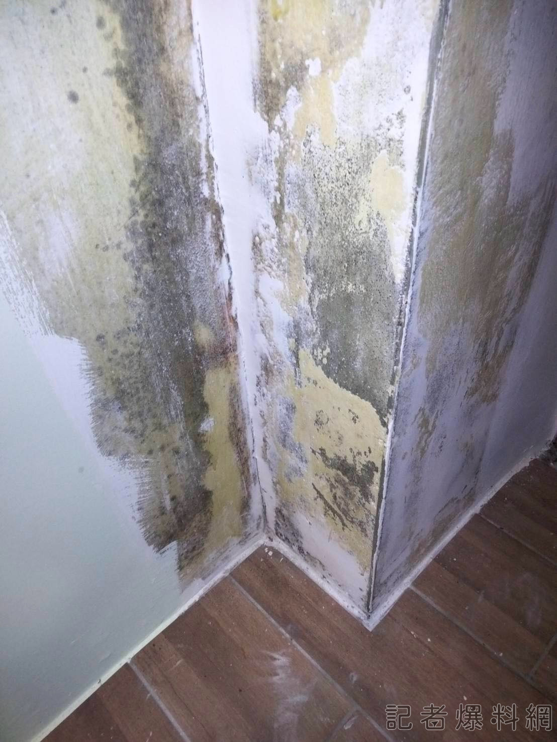 工地 建設公司 開挖 鄰損事件 發霉