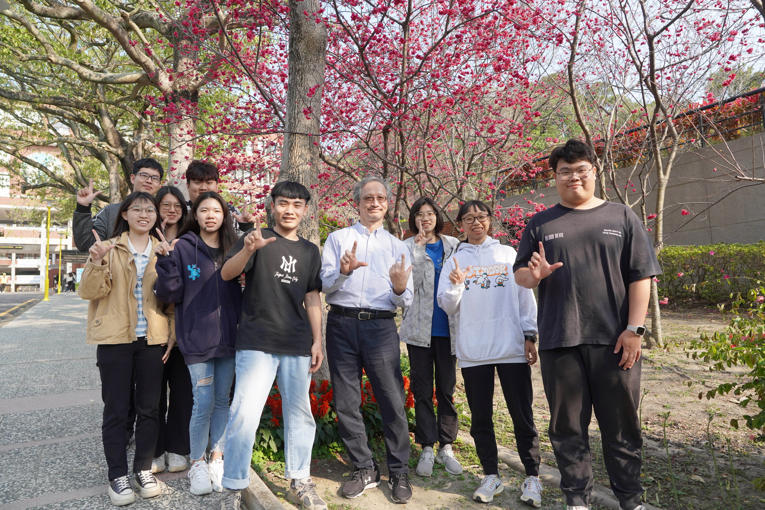 ▲大葉大學推動綠色校園，校園內種植超過1000棵櫻花，「大學道」櫻花近期陸續綻放粉色花海，歡迎民眾前來賞櫻。（記者張溎壕攝）