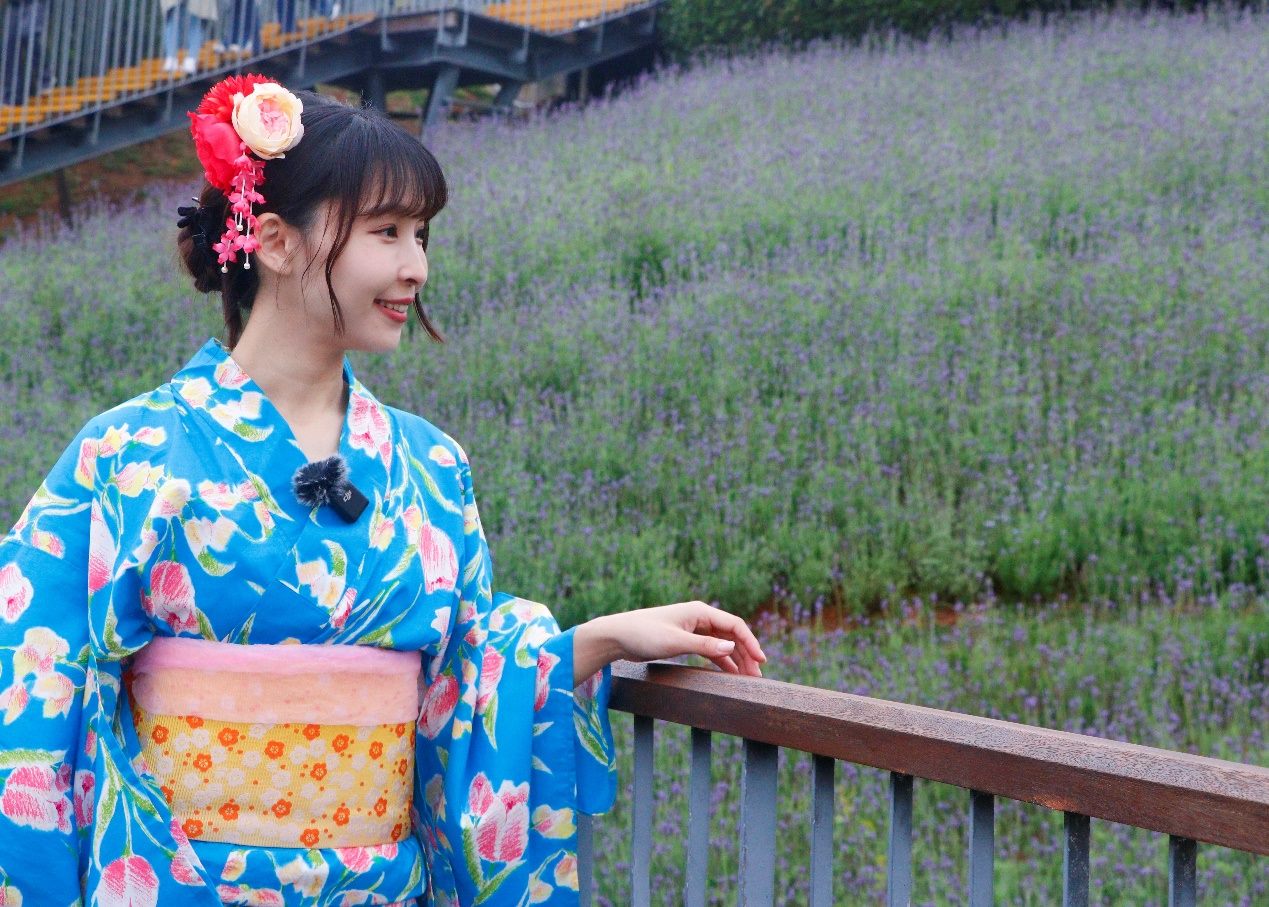 北投三層崎花海盛況繚繞 櫻花妹Aiko帶你一日小旅行