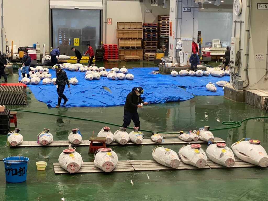 ▲漁民把捕撈到的新鮮漁獲,提供給一些餐廳業者來挑選想要的漁產品,還有各項農漁水產的批發,從進貨到出貨,市場運作相當完整,相當值得學習。(彰化縣政府提供)