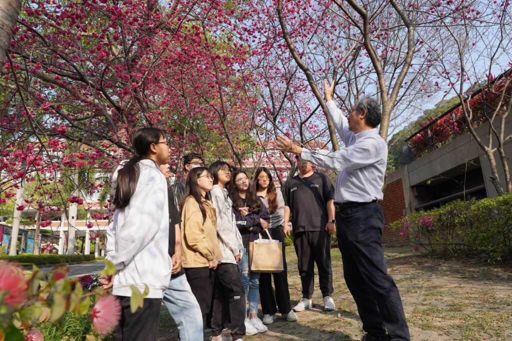 ▲大葉大學觀光系林擎天主任(右一)介紹櫻花特性。(記者林郁芯翻攝)
