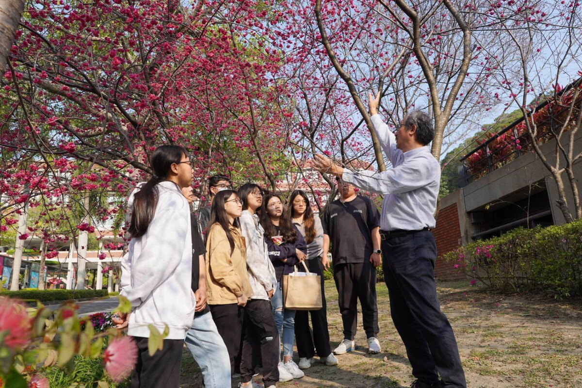 ▲大葉大學觀光系林擎天主任(右一)介紹櫻花特性。(記者林明佑翻攝)