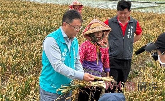 土庫鎮大蒜田區病害蔓延 協請專家迅速提供改善方案