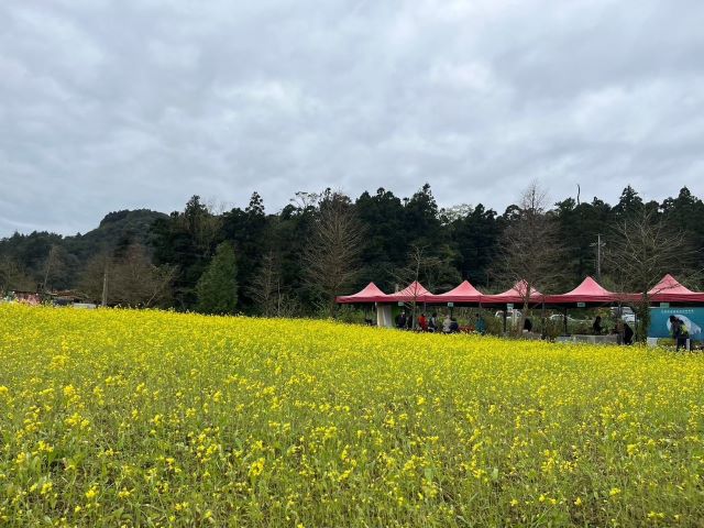 宜蘭3.jpg
