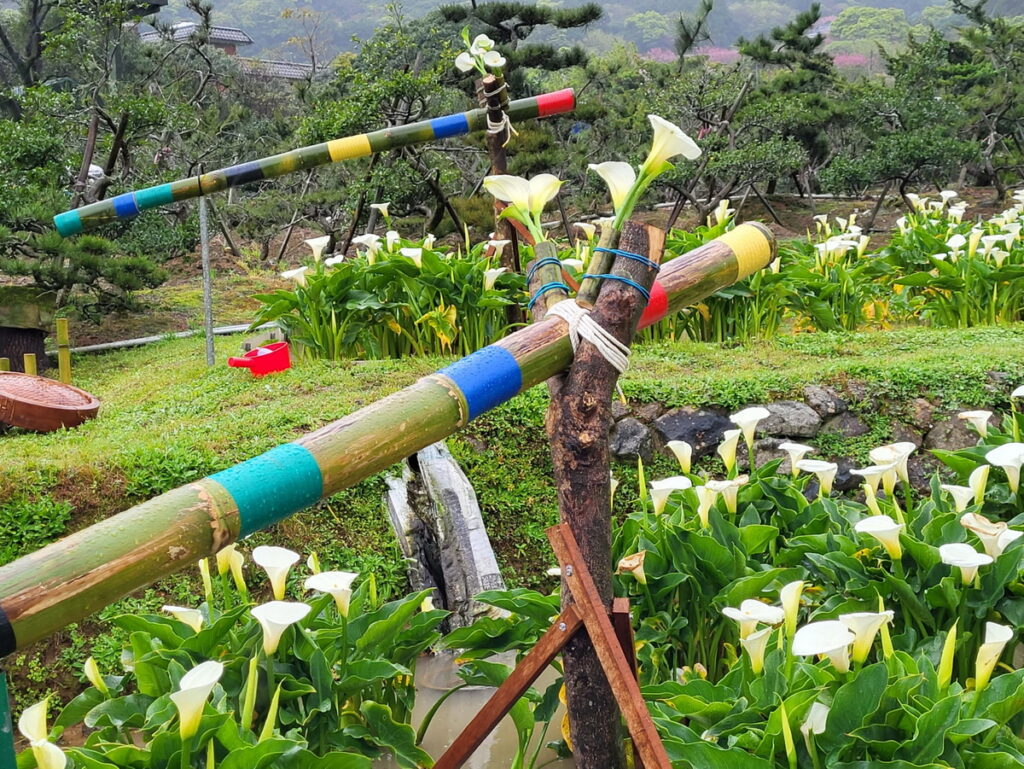 迎春圃花園