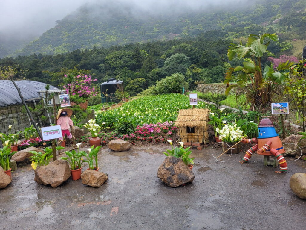 故鄉海芋園