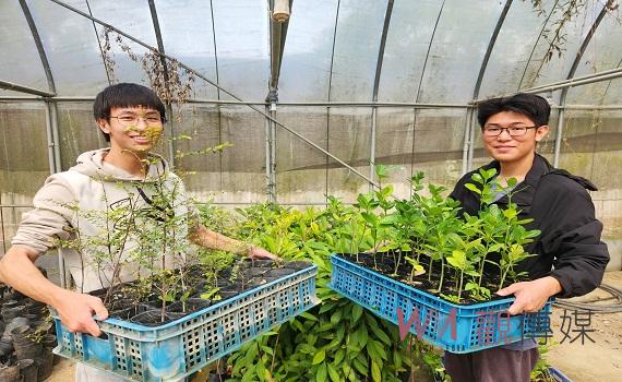 嘉大森林週開跑贈苗 民眾未開獎發票3張免費兌換