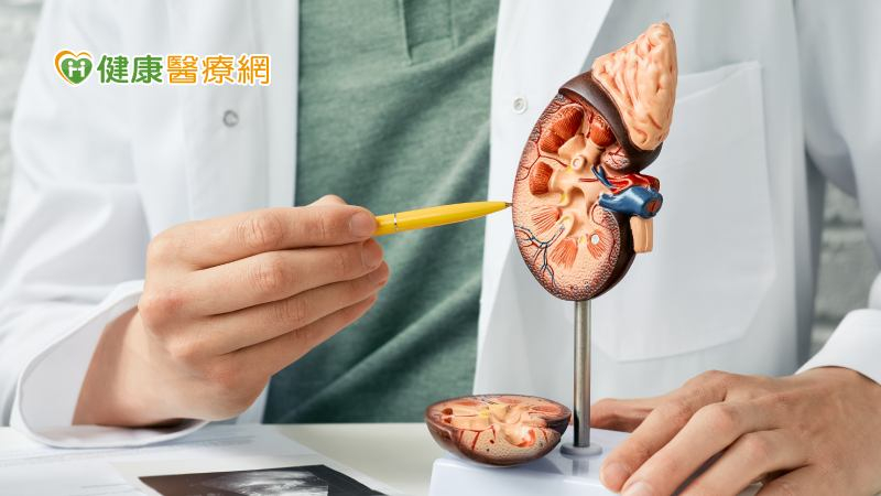 「腎臟永續健康」關鍵在定期篩檢、及早治療 8風險族群別因無症狀而大意!