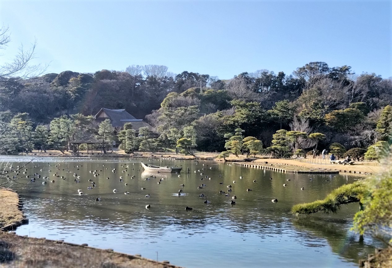 ▲彰化縣長王惠美率領團隊參訪日本三溪園的園藝造景以及富士御殿場蒸餾所的米糧加工釀酒技術，深入了解日本園藝文化的精髓。（彰化縣政府提供）