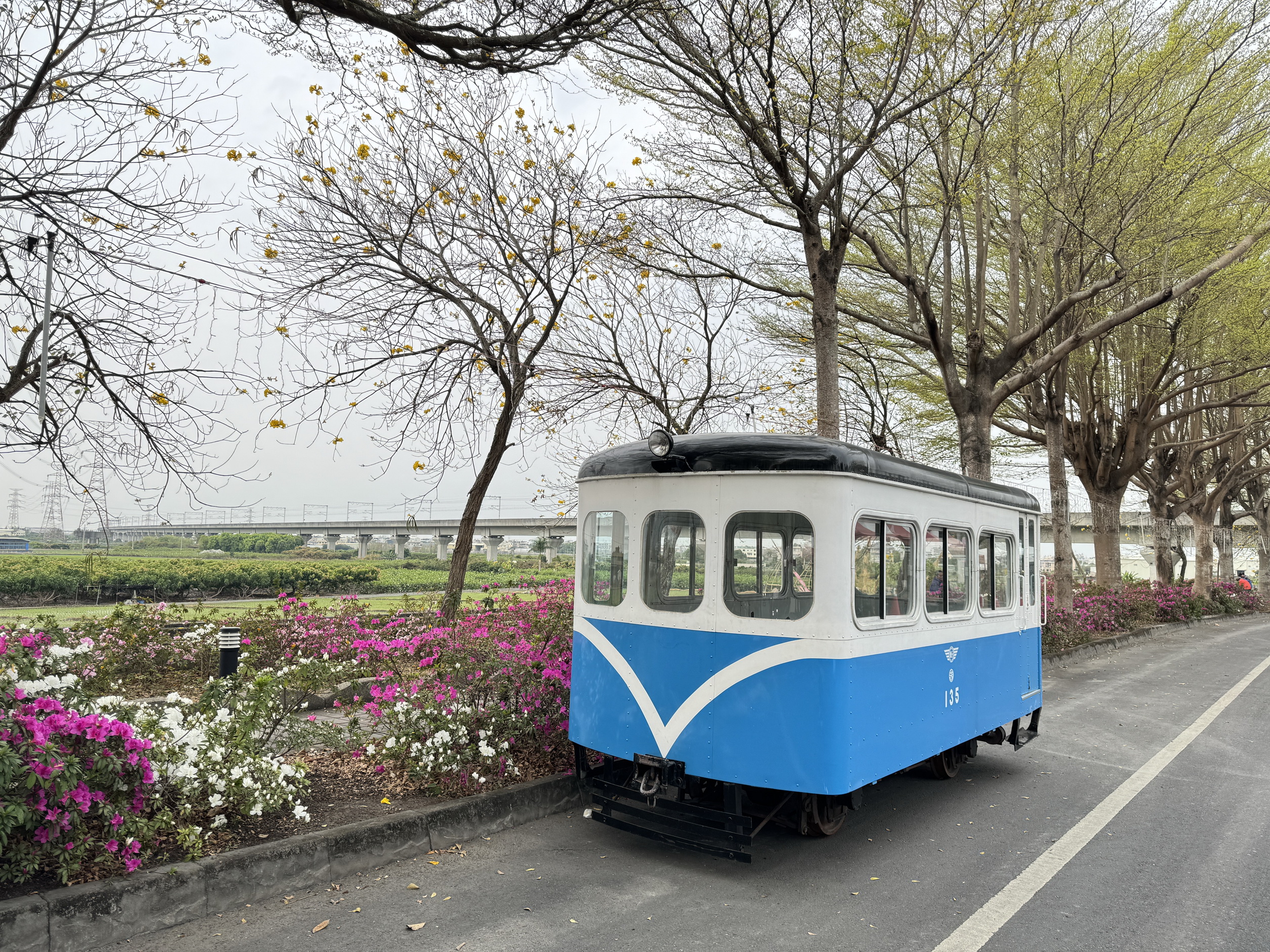 ▲社頭鄉忠義路的杜鵑花道長約一公里，被譽為「杜鵑花秘境」，每年都吸引著眾多遊客前來欣賞。（社頭鄉公所提供）