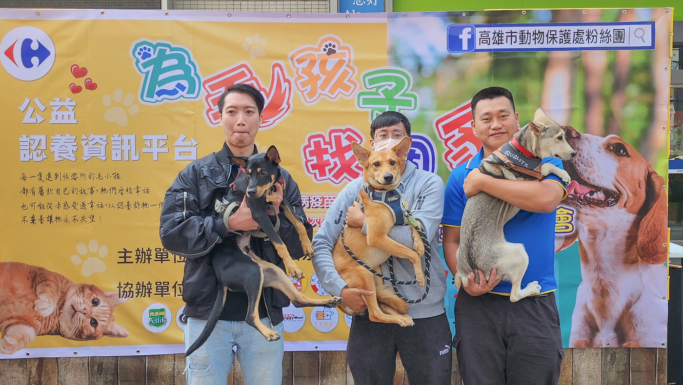 ▲高雄市動保處聯合家樂福參與認養活動，幫助流浪的毛小孩找到家。（圖/記者黃淑貞攝）