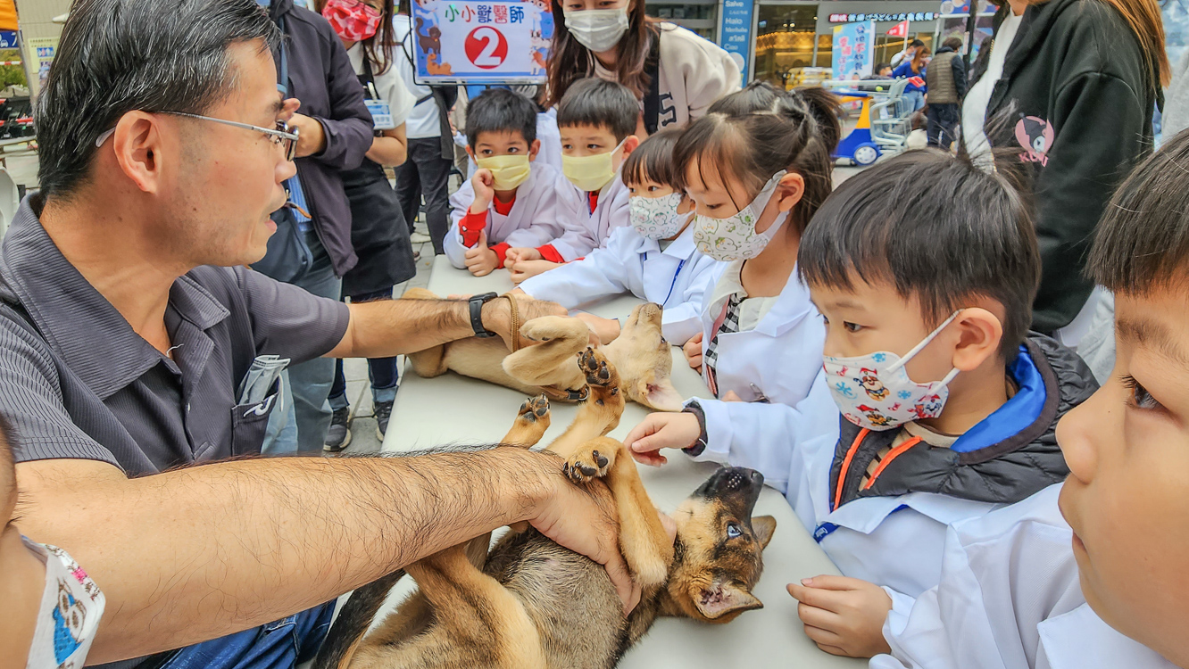 ▲高雄市動保處聯合家樂福參與認養活動，幫助流浪的毛小孩找到家。（圖/記者黃淑貞攝）