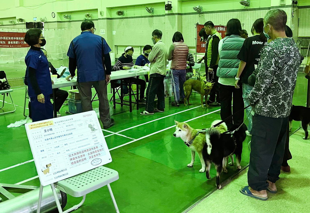高市偏鄉巡迴犬貓絕育列車今啟動 首場活動於大樹區綜合體育館舉辦