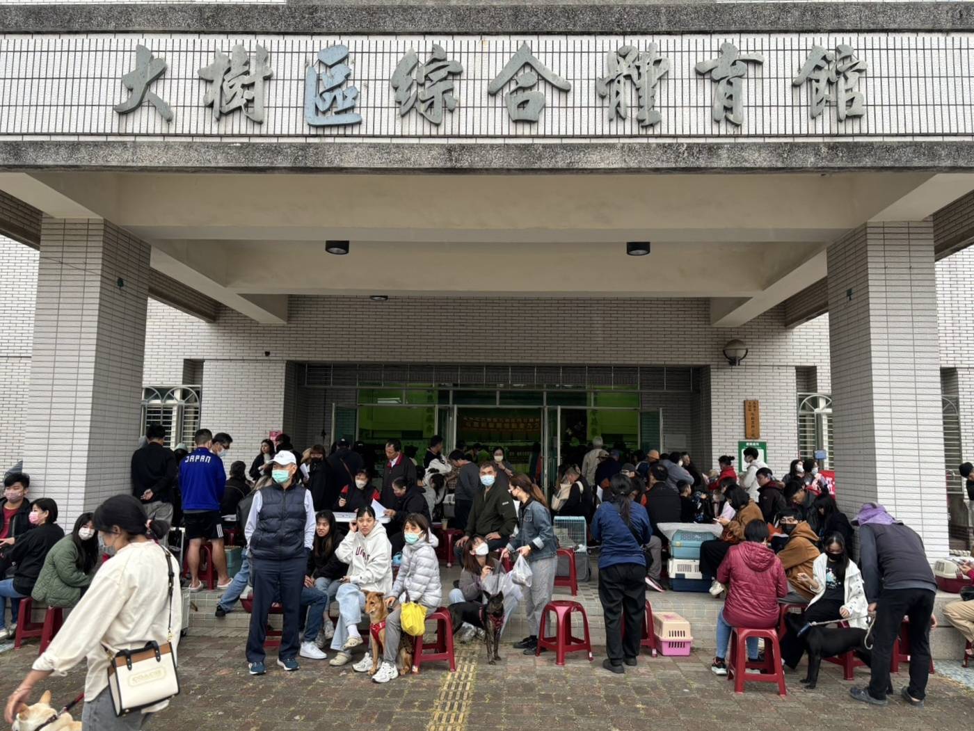 高市偏鄉巡迴犬貓絕育列車今啟動 首場活動於大樹區綜合體育館舉辦 113/3/10
