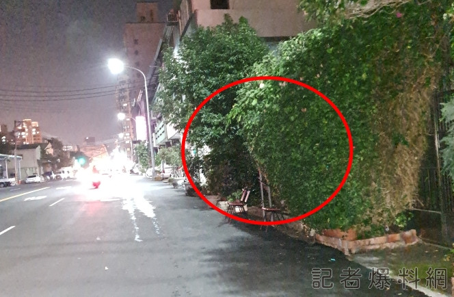 台中,北區,公車站牌,樹叢,踢皮球