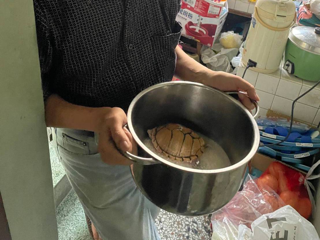 ▲陳嫌從廚房取出湯鍋，烏龜差點變成陳嫌盤中餐。（圖／記者陳彥霖翻攝）