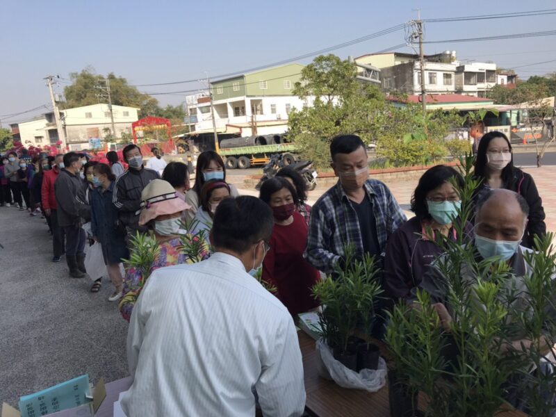 高市農業局倡導植樹 3月12日植樹節在各區公所發送樹苗600株送完為止