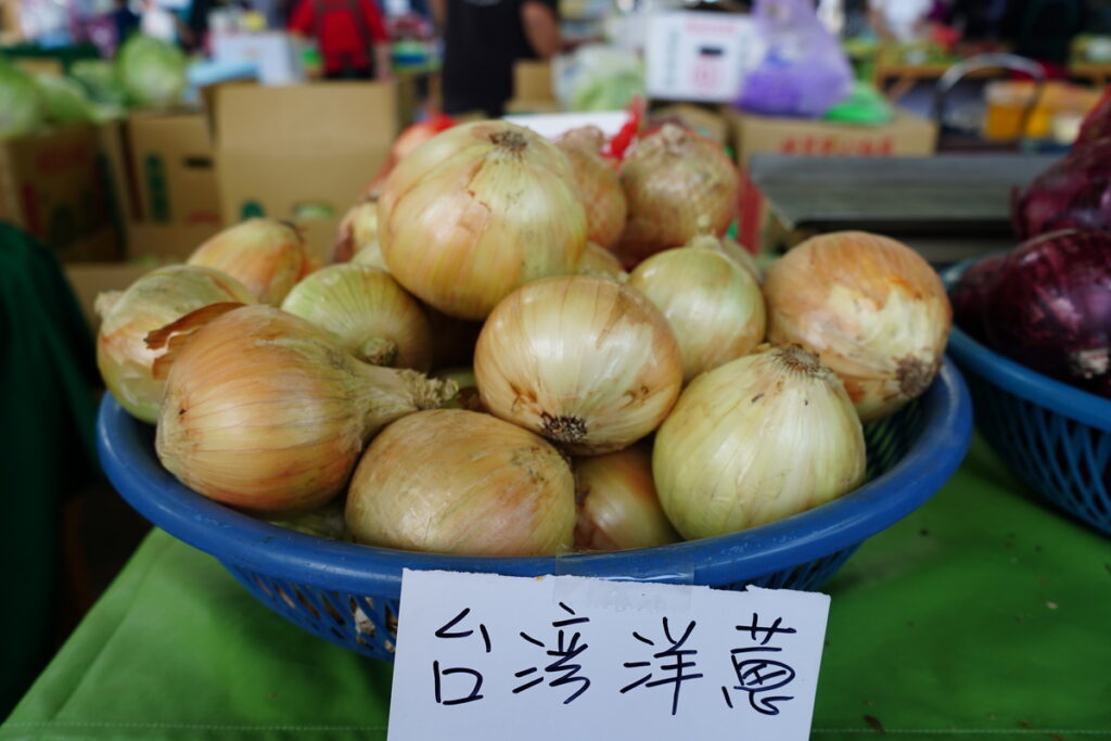國產洋蔥產季即將來到