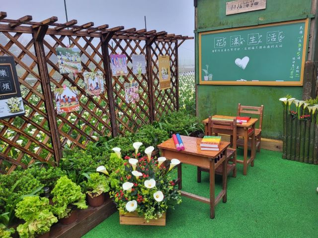 海芋1.jpg
