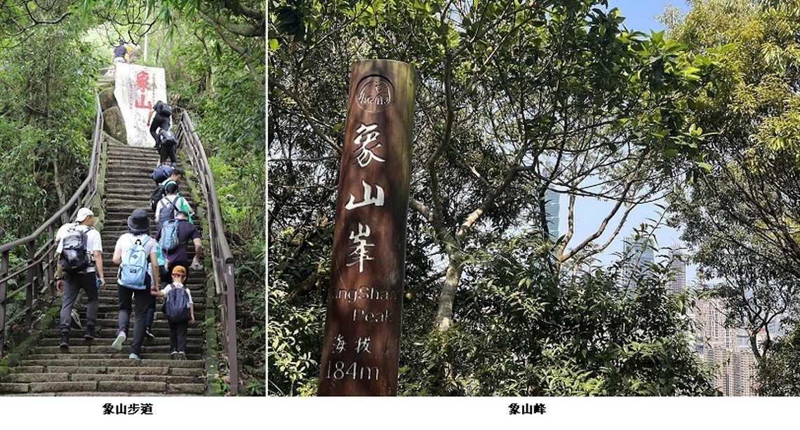 開啟春日探險之旅!快來2024象山步道探險記!