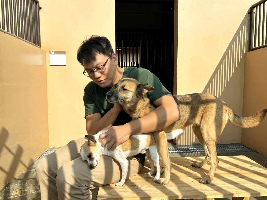 ▲除流浪犬貓收容外,並提供野生動物救傷暫時安置、寵物行為訓練、醫療及民眾休憩等功能。(屏東縣政府提供)