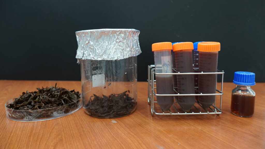 ▲大葉大學生醫系團隊以台茶18號為研究對象,證實可當美妝原料。(大葉大學提供)