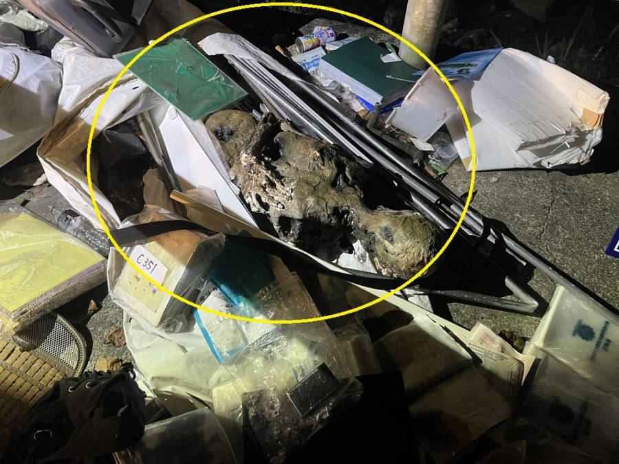 賞螢驚見溶屍 三峽警分局成功查出「誰是被害者」 217 cnews204240313a01