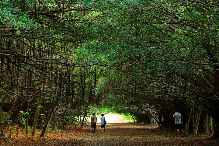 新營區長勝營區綠色鐵道。 圖:台南旅遊網/提供
