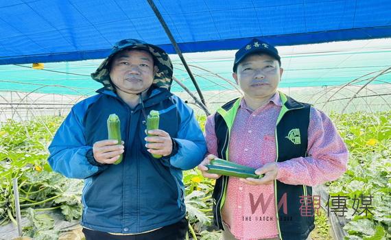 永靖農友陳峻年栽種櫛瓜 北漂成為高檔餐廳最愛