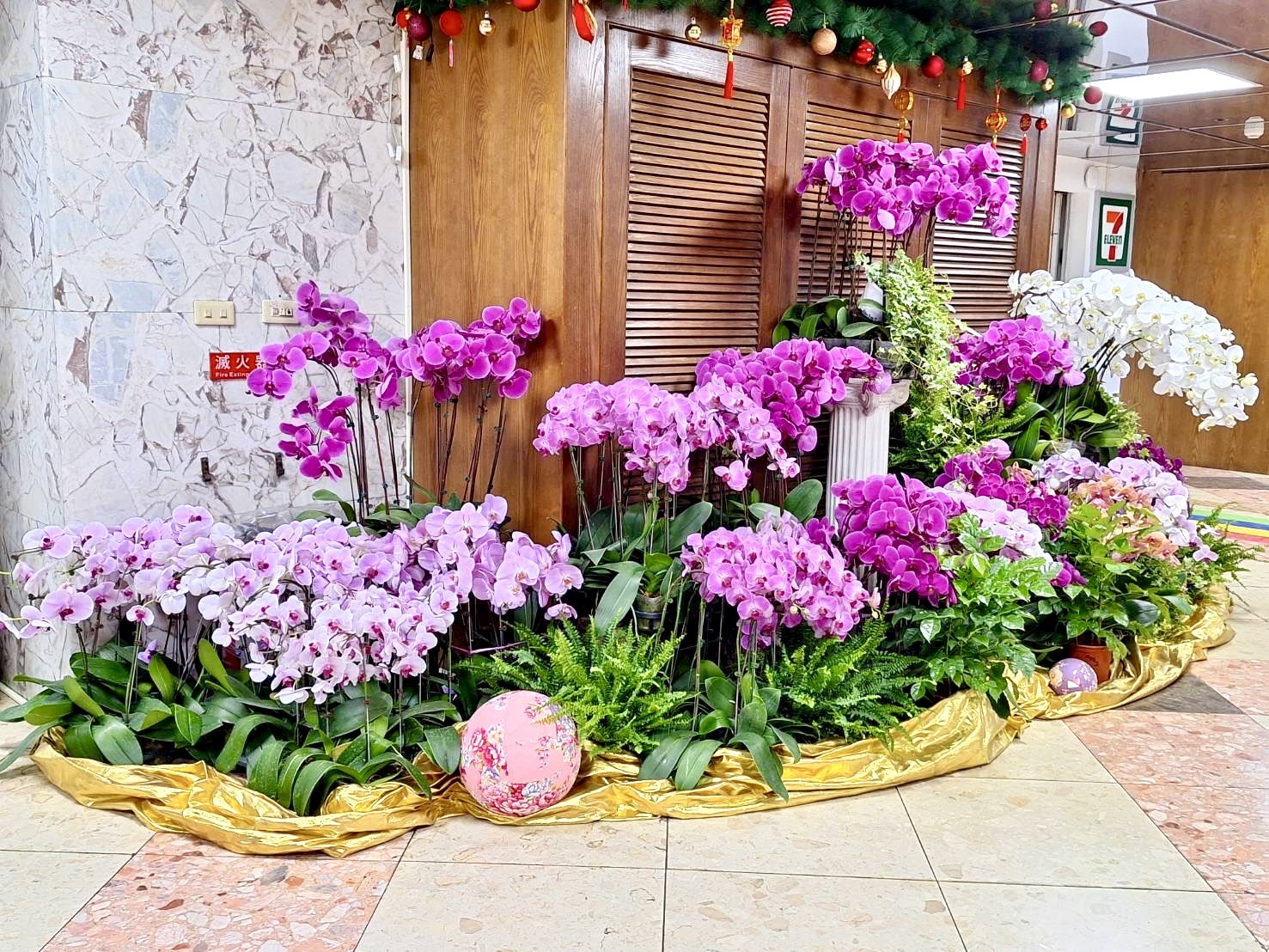 賦予卸展蘭花新生命！「花園饗宴、眾神之都」用蘭花堆疊出台南慢活氣息及獨有的宗教風情