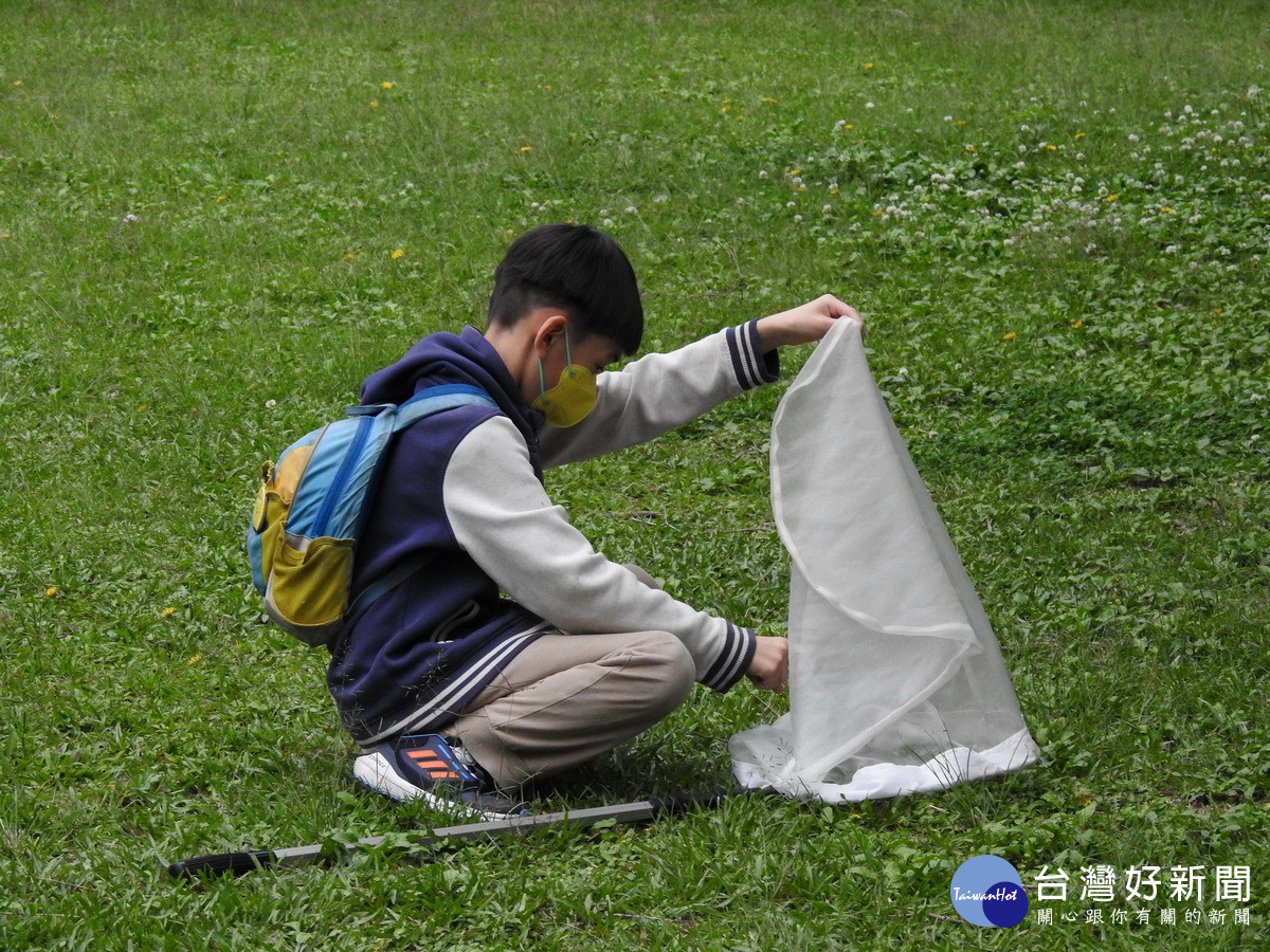 學習使用蟲網捕捉及觀察昆蟲。(圖/林業保育署南投分署提供)