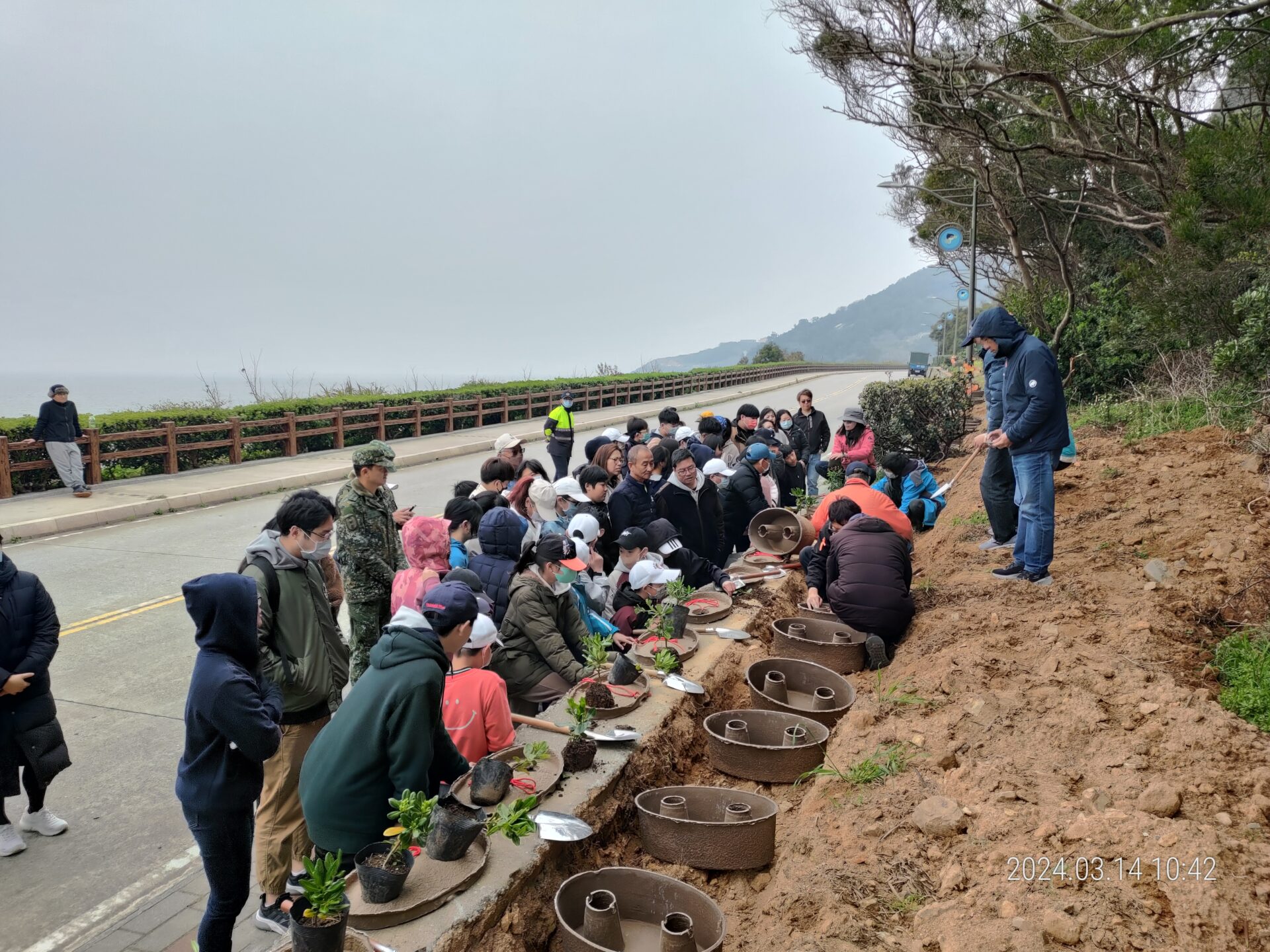 北竿鄉植樹節活動圓滿結束 白沙聯外道路種植600棵海桐綠意可期