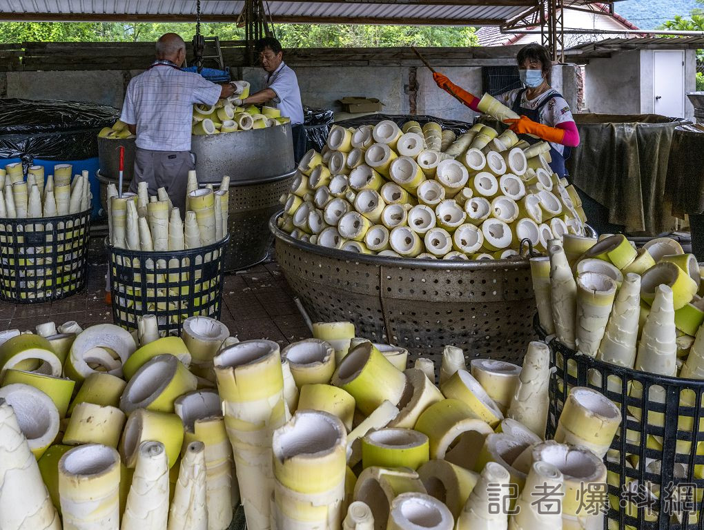 彰化農場與欣欣水泥經驗交流 為減碳農業擘劃永續方向