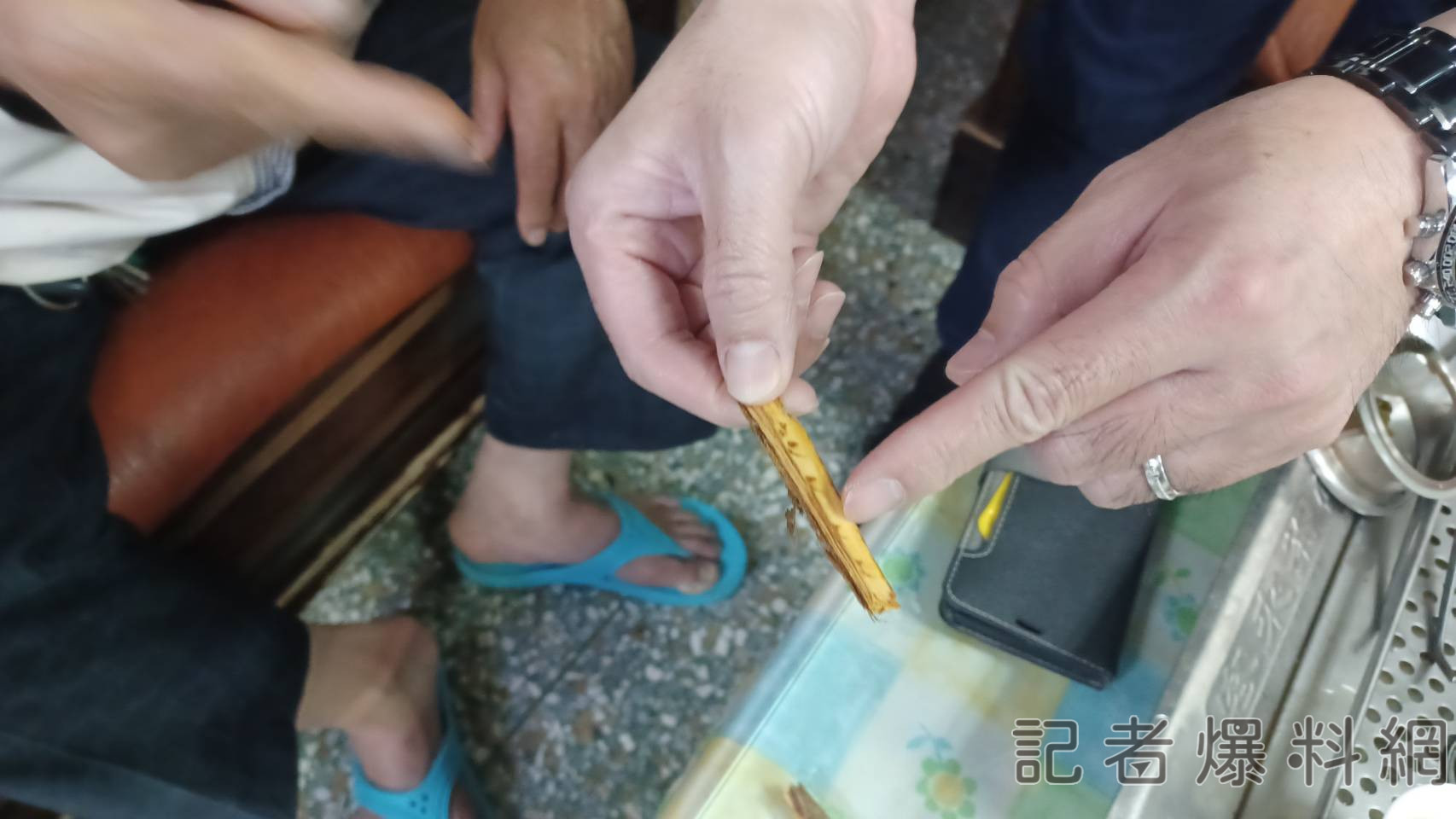 珍貴肖楠木慘遭剝皮  警緝凶揪出牙尖嘴利的「牠」