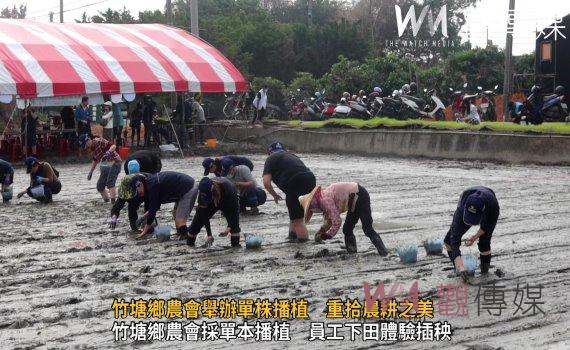 (有影片)/深入土地的尊嚴:竹塘鄉農會舉辦單株播植 重拾農耕之美