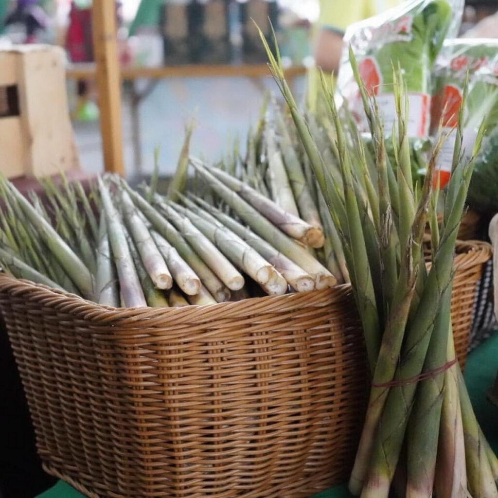 春季山珍 花蓮箭竹筍3月23-24日在臺北花博農民市集脆嫩登場