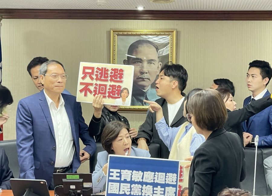 兒虐報告薛瑞元上不了台！ 為「兒盟董事王育敏」藍綠打成一團40分鐘 225