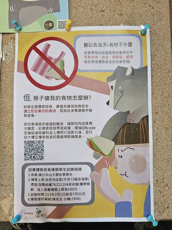 中山大學日前張貼公告,宣布試辦因應獼猴掠食的補償措施。圖/中央社