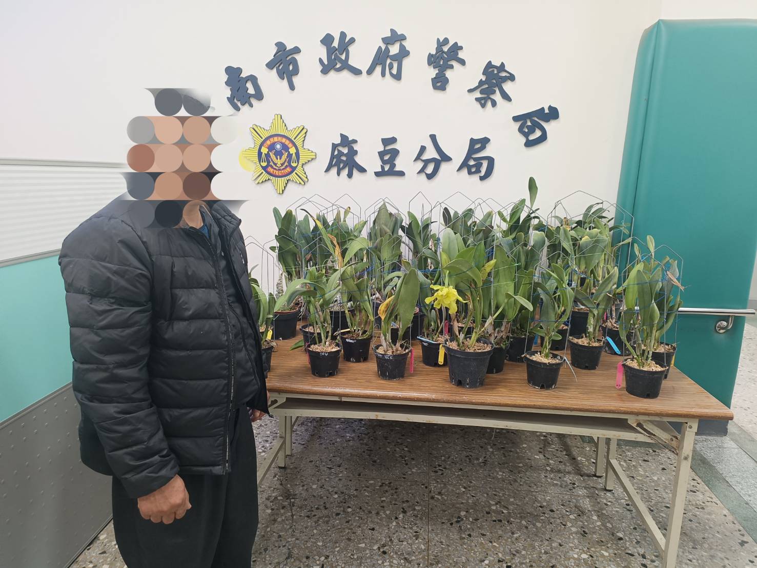 ▲台南市警麻豆分局破獲蘭花竊盜案,遠赴宜蘭將嫌犯逮回,並追回失竊蘭花。(圖/記者陳彥霖翻攝)