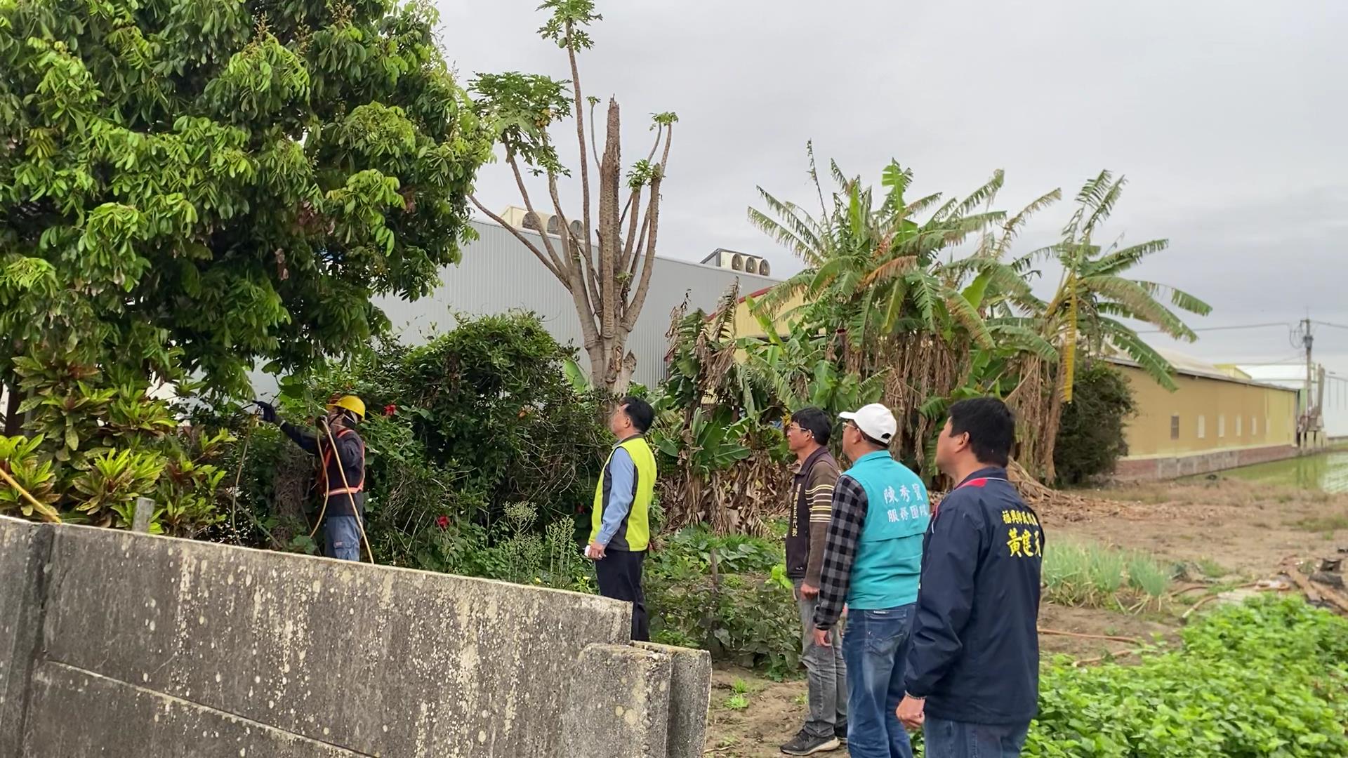 ▲為防治荔枝椿象危害農產及干擾民眾日常，福興鄉公所清潔隊進行逐村噴藥消毒工程。（記者張溎壕攝）
