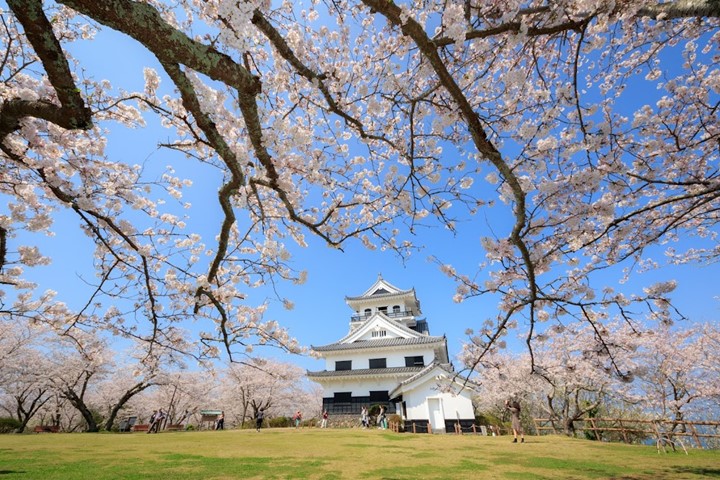 享受環海美景！千葉東京灣跨海大橋馬拉松 3/22開始報名