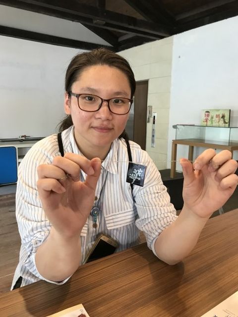 僅此一檔!黃金博物館「親子琺瑯體驗」快來成為一日工藝師