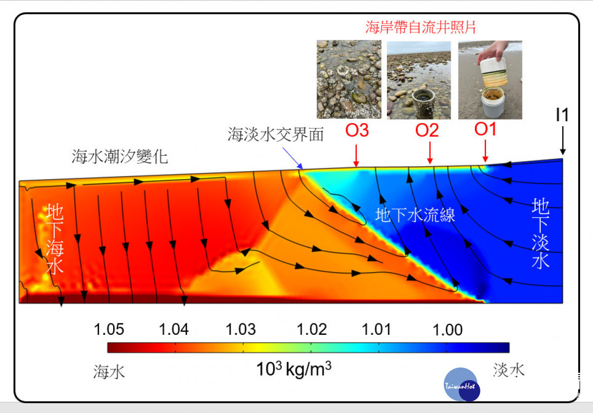 中央大學TaiCOAST潮間帶自流井(O1~O3)照片與位置;地下海水(左側)與地下淡水(右側)交互作用模擬結果。照片王士榮副教授提供