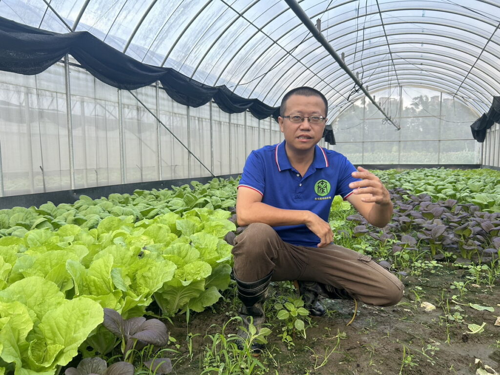 【秦佳圓有機農場】根據四季種植各式蔬果,網室內的是白菜、小松、紫小松等短期葉