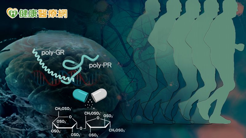 漸凍症治療重大發現! 中研院成功以「硫酸雙醣分子」減緩神經元退