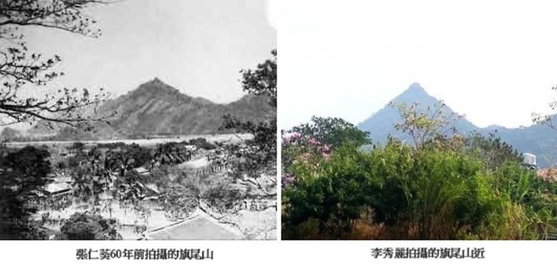 半世紀後旗尾山 有何迥異