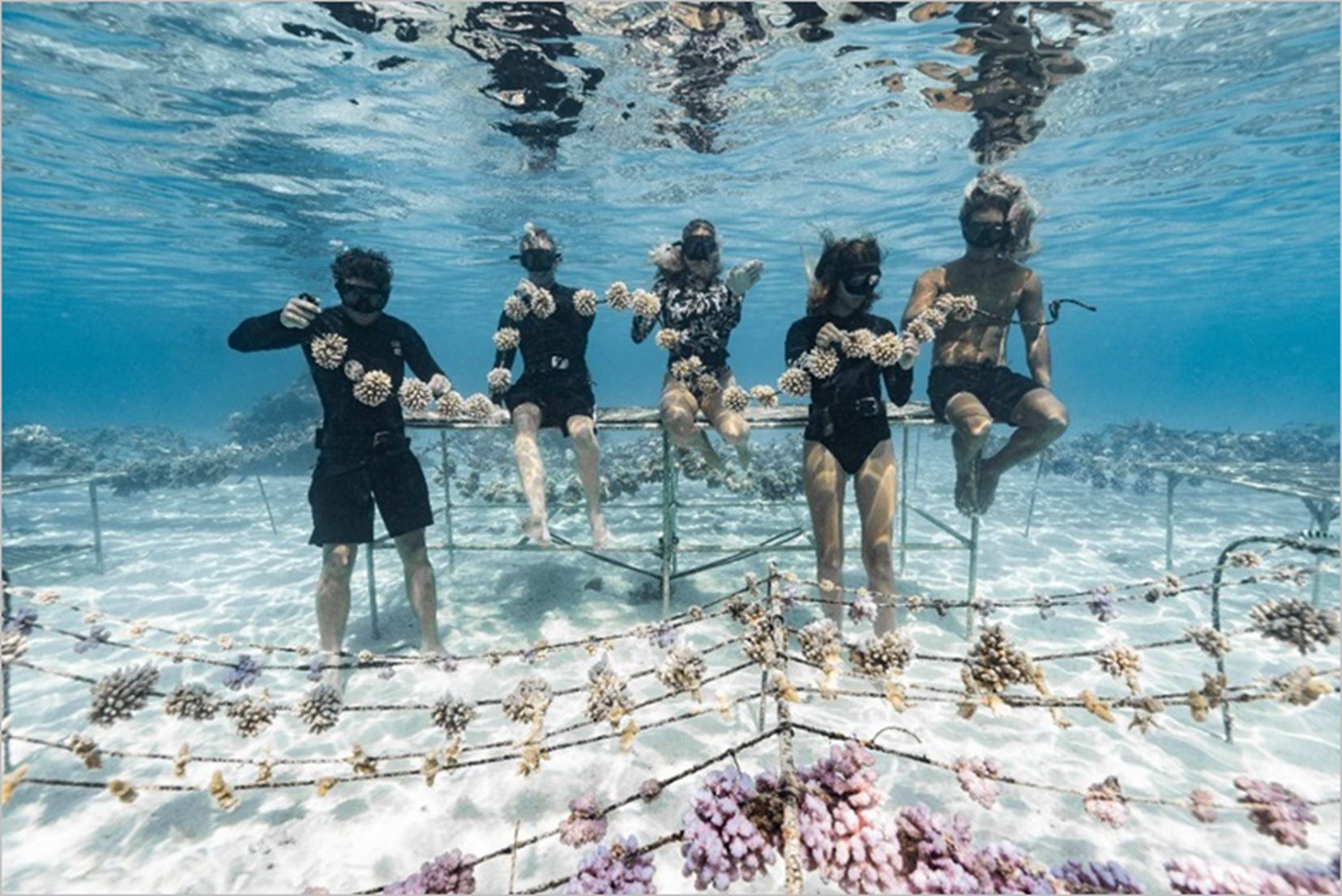 Billabong攜手Coral Gardeners!限量保護珊瑚聯名系列 即日起限量上市!