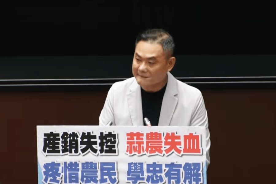 大量進口蒜壓境!產銷失控蒜農大失血 丁學忠籲政府助農民產業升級 178 照片來源:立法院直播截圖