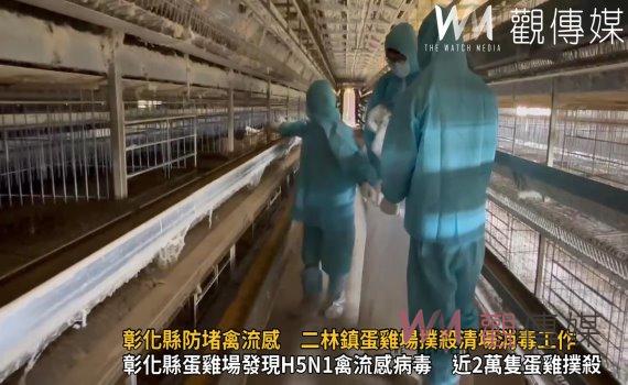 (有影片)/彰化縣防堵禽流感 完成二林鎮蛋雞場撲殺清場消毒工作