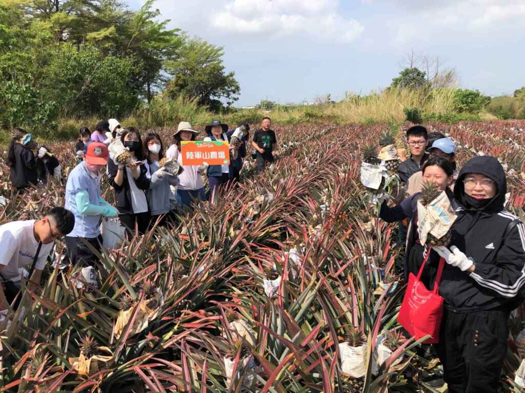 ▲由關廟青文化協會在地青年帶領，透過演講、青農產區拜訪、社區導覽、鳳梨葉纖維編織DIY、採果樂等體驗及交流。（台南市政府提供）